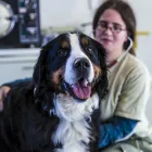 Unternehmen 5 Bild TIERKLINIK24 Ärzte am Staffelbach AG