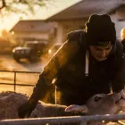 Unternehmen 3 Bild TIERKLINIK24 Ärzte am Staffelbach AG