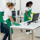 Entreprises 9 image TREUE REINIGUNG GMBH Entsorgung, Verwertung, Beseitigung, Reinigung dans Zürich ZH