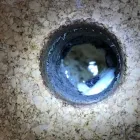 Entreprises 19 image TROCKTECH AG Restauratoren dans Olten SO