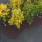Entreprises 5 image VETSCHPARTNER LANDSCHAFTSARCHITEKTEN AG Ämter/Behörden/Gerichte dans Zurich ZH