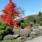 Entreprises 2 image VITA VERDE AG Land-/Forstwirtschaft/Fischerei dans Laufen BL