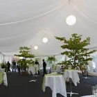 Immagine 5 azienda VÖGTLI GROUP AG Zeltverleih in Dornach SO