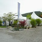 Immagine 1 azienda VÖGTLI GROUP AG Zeltverleih in Dornach SO