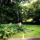 Immagine 10 azienda WALDER'S HAUSWARTUNG & GARTENUNTERHALT AG Maschinenbau in Wetzikon Zh ZH