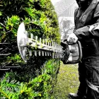 Immagine 11 azienda WALDER'S HAUSWARTUNG & GARTENUNTERHALT AG Maschinenbau in Wetzikon Zh ZH