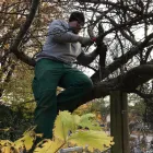 Immagine 3 azienda WALDER'S HAUSWARTUNG & GARTENUNTERHALT AG Maschinenbau in Wetzikon Zh ZH