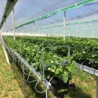 Immagine 4 azienda WALDIS SWISS AG Heizungsbedarf, Sanitärbedarf in Romanshorn TG