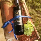 Entreprises 5 image WEINGUT KLOSTERHOF Weinkellereien dans Aesch Lu LU