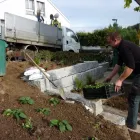 Unternehmen 15 Bild WENK GARTEN Land-/Forstwirtschaft/Fischerei am Riehen BL