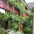 Unternehmen 17 Bild WENK GARTEN Land-/Forstwirtschaft/Fischerei am Riehen BL