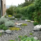 Unternehmen 3 Bild WENK GARTEN Land-/Forstwirtschaft/Fischerei am Riehen BL