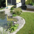 Unternehmen 2 Bild WENK GARTEN Land-/Forstwirtschaft/Fischerei am Riehen BL