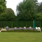 Unternehmen 11 Bild WENK GARTEN Land-/Forstwirtschaft/Fischerei am Riehen BL