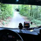 Unternehmen 5 Bild WETZI-MULDEN-SERVICE GMBH Transport/Verkehr/Tourismus am Wetzikon ZH
