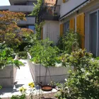 Unternehmen 11 Bild WIDLER GARTENBAU GMBH Land-/Forstwirtschaft/Fischerei am Horgen ZH