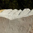Unternehmen 3 Bild WIDMER BILDHAUER Druckereien am Brunnadern SG