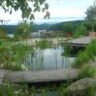 Entreprises 9 image WITTWER BLUMEN GARTENBAU AG Land-/Forstwirtschaft/Fischerei dans Gwatt (Thun) BE