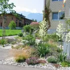 Entreprises 6 image WITTWER BLUMEN GARTENBAU AG Land-/Forstwirtschaft/Fischerei dans Gwatt (Thun) BE