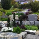 Entreprises 7 image WITTWER BLUMEN GARTENBAU AG Land-/Forstwirtschaft/Fischerei dans Gwatt (Thun) BE