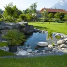 Entreprises 8 image WITTWER BLUMEN GARTENBAU AG Land-/Forstwirtschaft/Fischerei dans Gwatt (Thun) BE