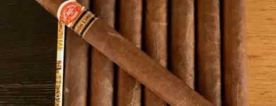 Immagine 1 azienda 1920 CIGAR LOUNGE Hotel-/Gastronomiegewerbe in Martigny VS