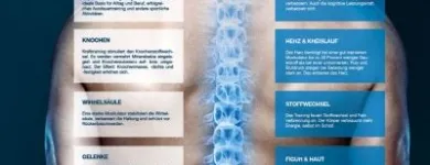 Entreprises 1 image ACTIFORM AG KIESER TRAINING BERN Ärzte dans Berne BE