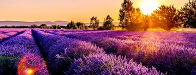 Unternehmen 3 Bild AIROMAT Wohnaccessoires Einzelhandel am Geuensee LU