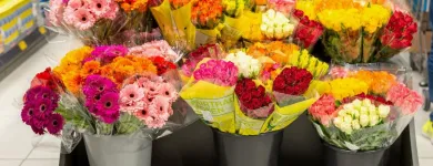 Entreprises 6 image ALDI INGENBOHL Supermärkte dans Ingenbohl SZ
