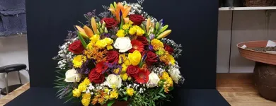 Entreprises 2 image ALTSTETTER BLUMEN Nahrungs-/Genussmittel dans Zürich ZH