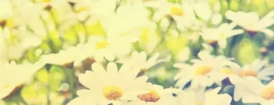 Immagine 1 azienda ANDREAS RÜEGG Ärzte in Zürich ZH