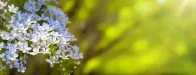 Immagine 3 azienda ANDREAS RÜEGG Ärzte in Zürich ZH