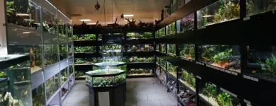 Immagine 3 azienda AQUARIUM SEEROSE, ZOOFACHGESCHÄFT S. LEUCH Zoohandlungen in Zurich ZH