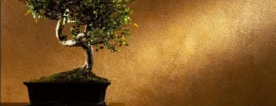 Unternehmen 2 Bild ARNOLD KATJA MALERGESCHÄFT Putzarbeiten, Stuckarbeiten am Zurich ZH