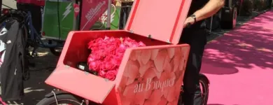 Unternehmen 5 Bild AU BOUQUET Garten/Pflanzen am Basel BL