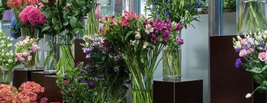 Unternehmen 1 Bild AU BOUQUET Garten/Pflanzen am Basel BL