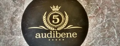 Entreprises 1 image AUDIBENE GMBH Medizinische Geräte und Reparatur Wartung dans Berne BE