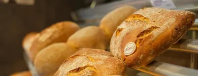 Immagine 7 azienda BÄCKEREI RÖSSLER Nahrungs-/Genussmittel in Pfungen ZH