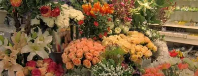 Immagine 3 azienda BASTELBOUTIQUE LEIBUNDGUT AG Raumausstatter, Innenausstatter in Zurich ZH