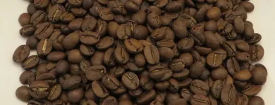 Entreprises 3 image BAUMGARTNER & CO AG Teehaus dans St. Gallen SG