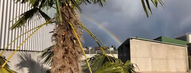 Unternehmen 6 Bild BAUSORT - DIE RECYCLING OASE Transport/Verkehr/Tourismus am Niederlenz AG