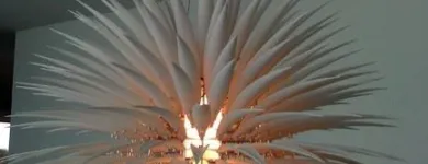 Entreprises 4 image BELCOM ELEKTRO GMBH Kundendienste für Elektrogeräte dans Bern BE