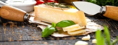 Entreprises 9 image BERNER MOLKEREI Veranstalter dans Bern BE