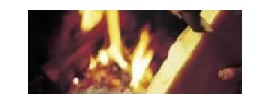 Entreprises 4 image BERNER MOLKEREI Veranstalter dans Bern BE