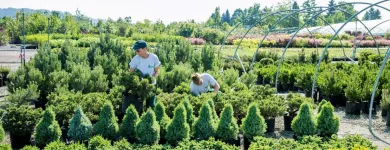 Unternehmen 23 Bild BERNHARD BAUMSCHULEN AG Gartengeräte, Landgeräte Einzelhandel am Sirnach TG