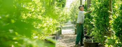 Unternehmen 1 Bild BERNHARD BAUMSCHULEN AG Gartengeräte, Landgeräte Einzelhandel am Sirnach TG