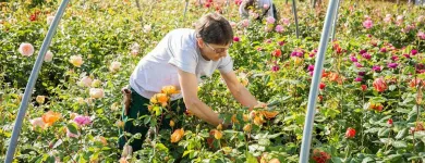 Unternehmen 4 Bild BERNHARD BAUMSCHULEN AG Gartengeräte, Landgeräte Einzelhandel am Sirnach TG