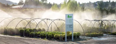Unternehmen 5 Bild BERNHARD BAUMSCHULEN AG Gartengeräte, Landgeräte Einzelhandel am Sirnach TG