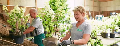 Unternehmen 7 Bild BERNHARD BAUMSCHULEN AG Gartengeräte, Landgeräte Einzelhandel am Sirnach TG