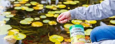 Entreprises 3 image BISCHOF HAUS-WARTUNG Schrottunternehmen, Buntmetalle-Unternehmen, Recyclingunternehmen dans Romanshorn TG